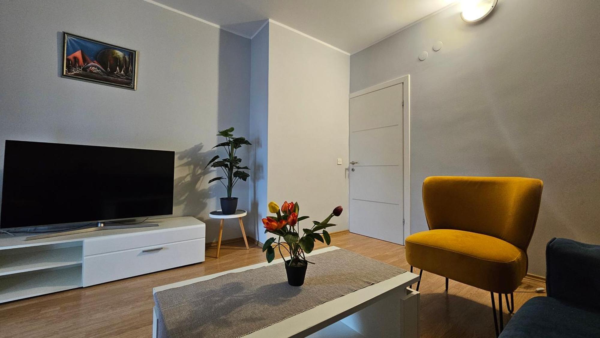 Apartments Betty Borik Ρόβινι Εξωτερικό φωτογραφία