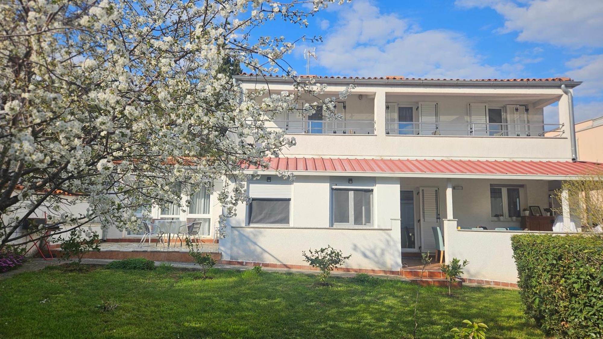Apartments Betty Borik Ρόβινι Εξωτερικό φωτογραφία
